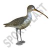 CURLEW