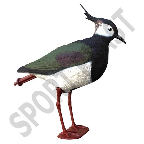 LAPWING with legs