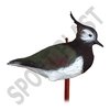 LAPWING without legs