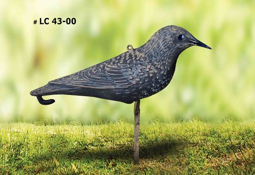 STARLING LOW COST